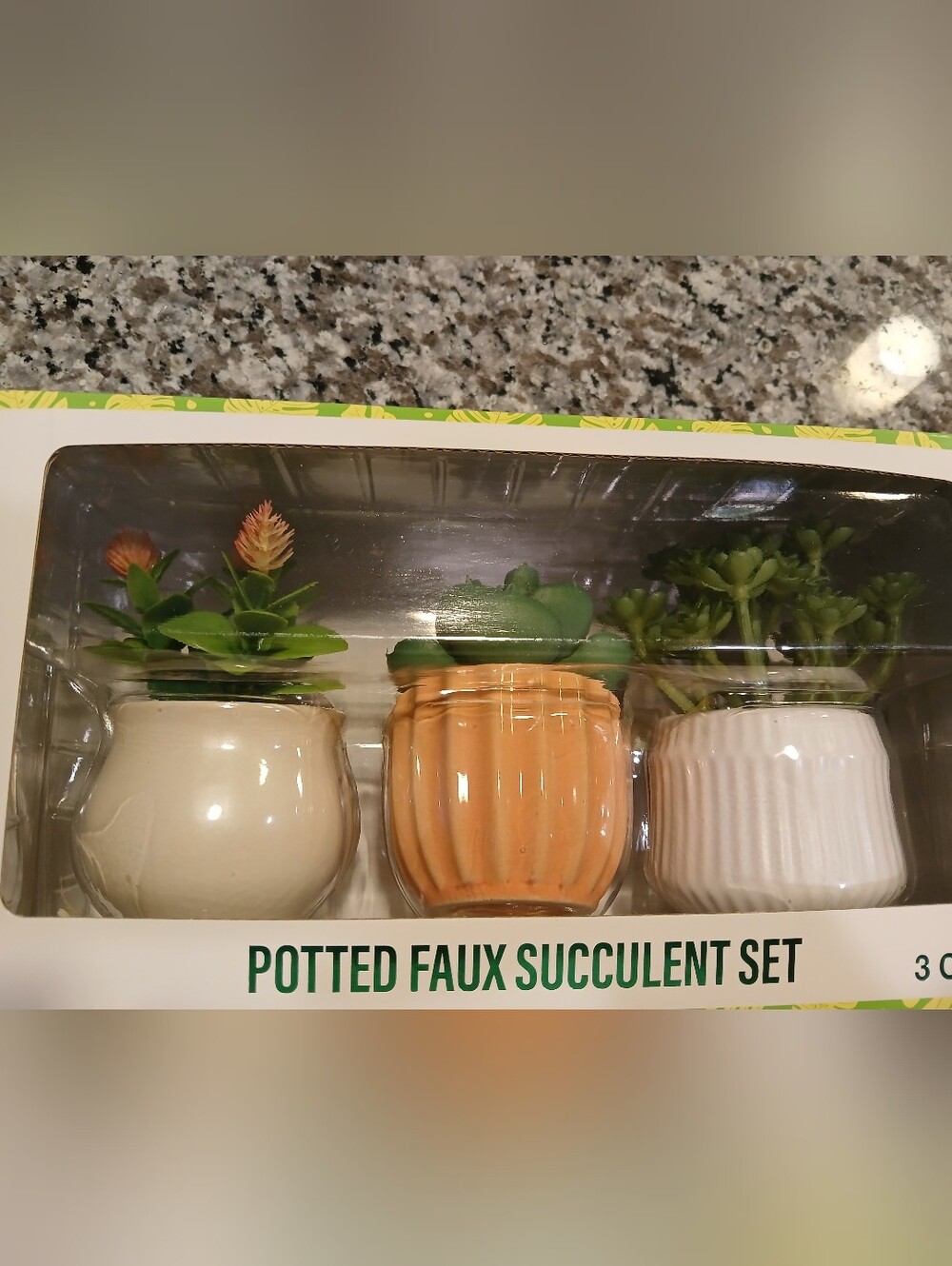 Potted Faux Succulent Set